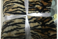 BB0013